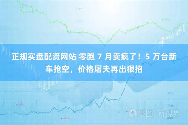 正规实盘配资网站 零跑 7 月卖疯了！5 万台新车抢空，价格屠夫再出狠招