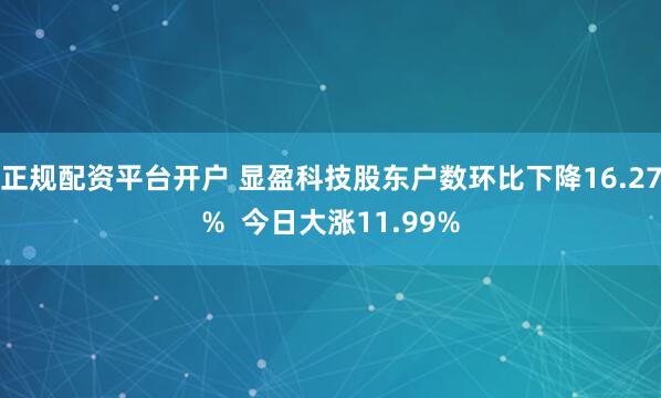 正规配资平台开户 显盈科技股东户数环比下降16.27%  今日大涨11.99%